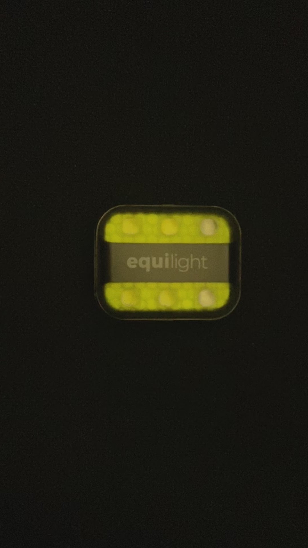 Equi Light Clip Light