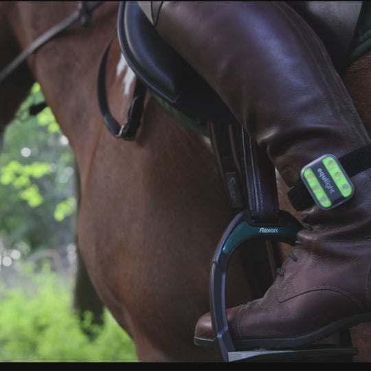 EquiLight LED Safety Clip Light