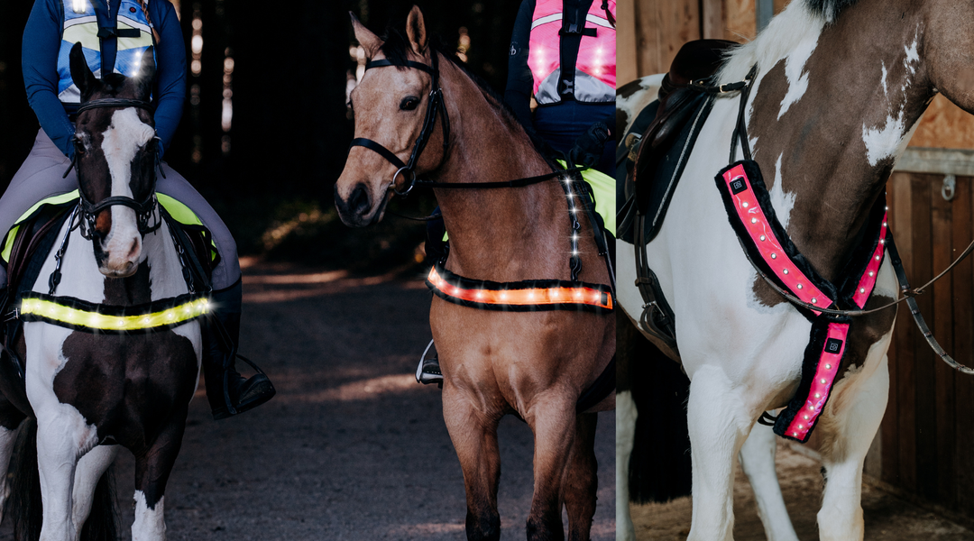 Award-Winning LED Faux Fur Sleeves for Horses: Smart Road Safety That Works With Your Tack