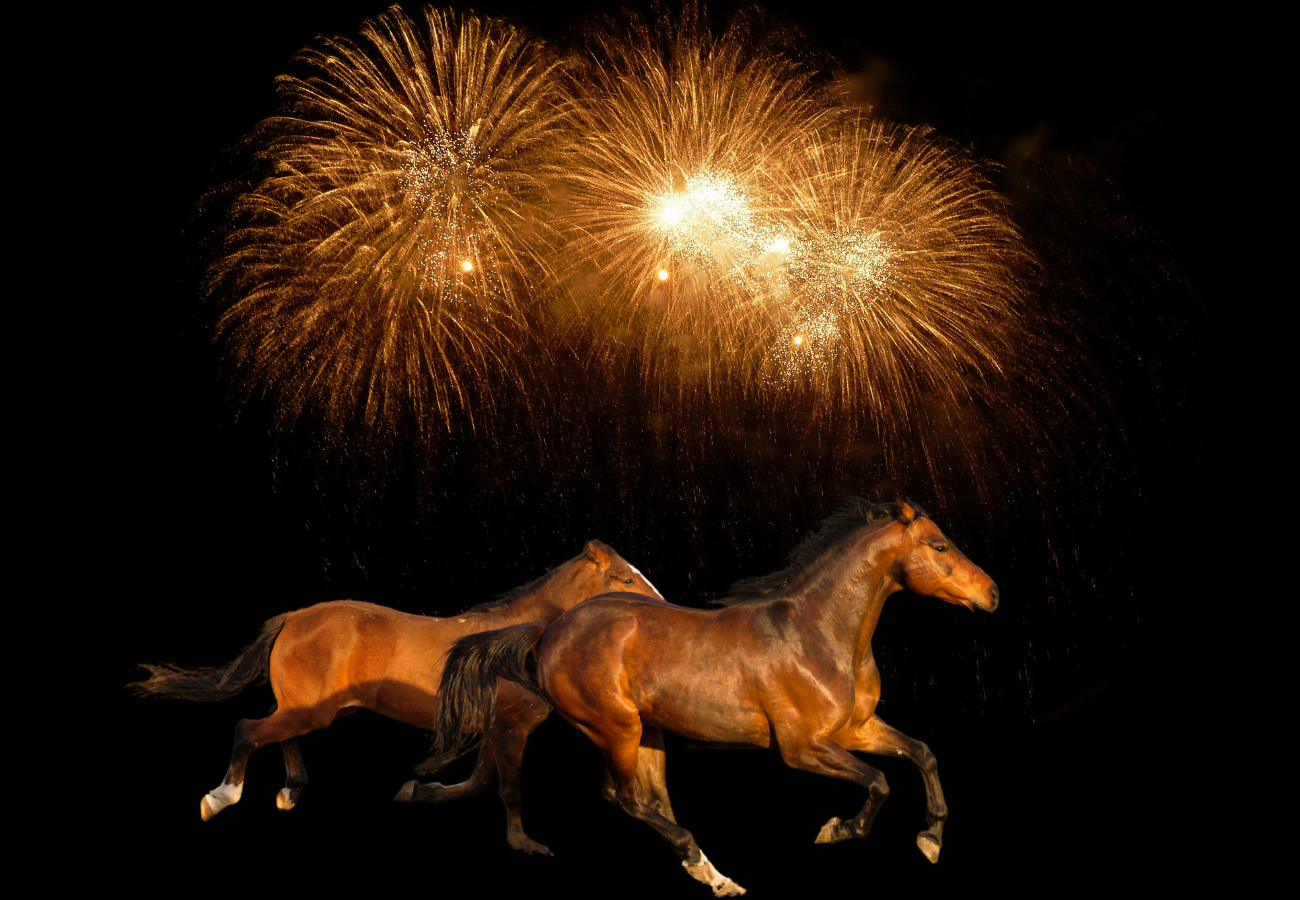 Horses & Fireworks - How to help keep your horse calm and safe