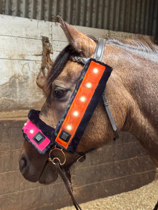 EquiLight Faux Fur LED Sleeves, Breastplate Pro For Horse & Pony, 30cm, 90cm, Pink Hi-Vis, Orange Hi-Vis, LED Breastplate. 