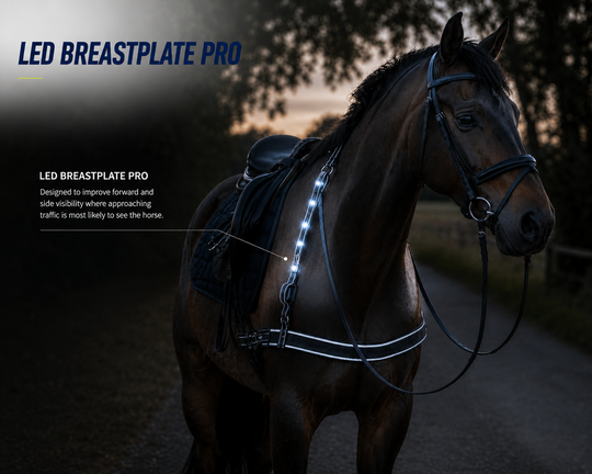 Horse wearing an LED breastplate