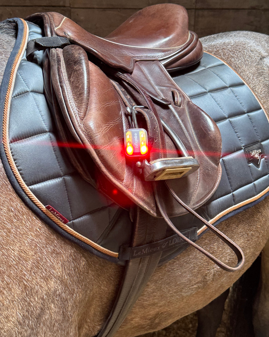 EquiLight Clip Light LED Light, White & Red LED Lights, Rechargeable, Equestrian, Horse, Dog, Children, LED Lights, Highway Code
