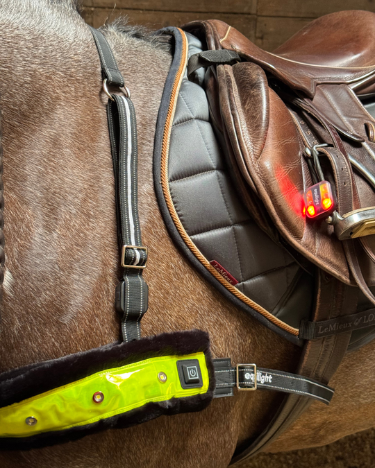 EquiLight Clip Light LED Light, White & Red LED Lights, Rechargeable, Equestrian, Horse, Dog, Children, LED Lights, Highway Code