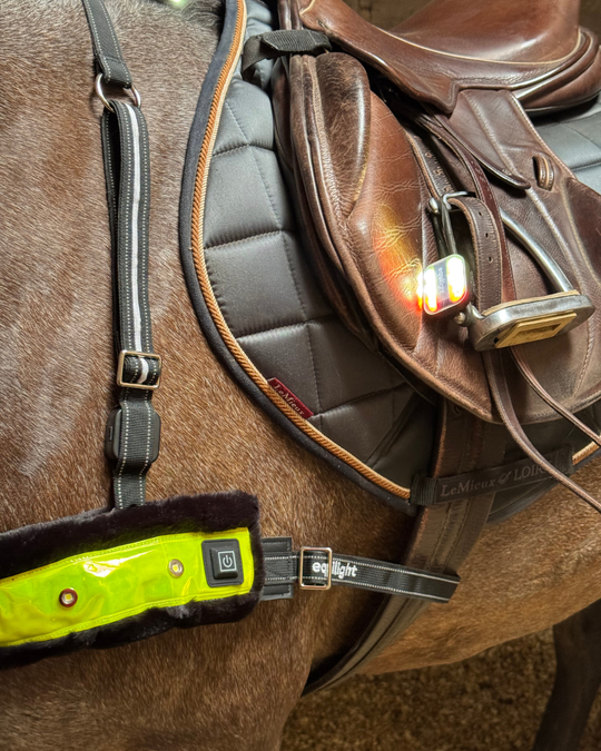 EquiLight Clip Light LED Light, White & Red LED Lights, Rechargeable, Equestrian, Horse, Dog, Children, LED Lights, Highway Code