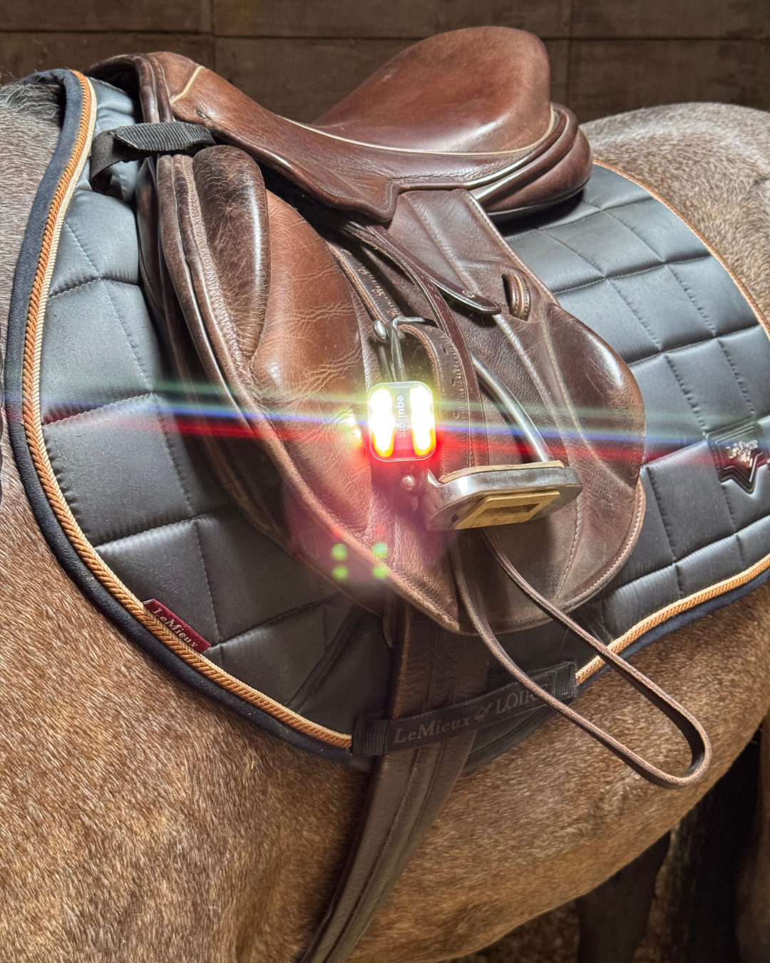 EquiLight Clip Light LED Light, White & Red LED Lights, Rechargeable, Equestrian, Horse, Dog, Children, LED Lights, Highway Code