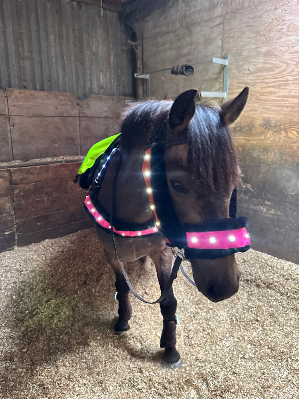 EquiLight Faux Fur LED Sleeves, Breastplate Pro For Horse & Pony, 30cm, 90cm, Pink Hi-Vis, Orange Hi-Vis, LED Breastplate. 