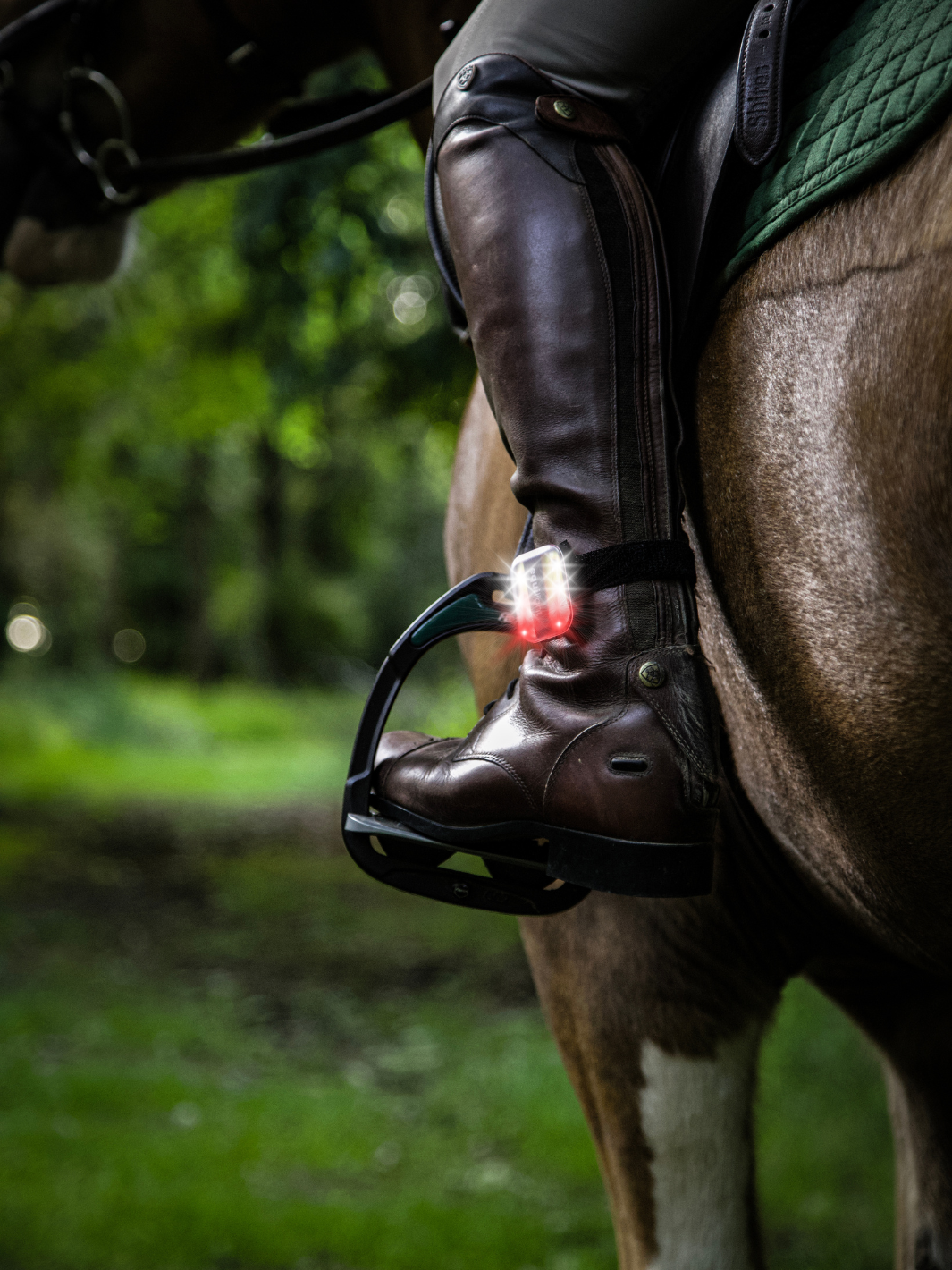 EquiLight Safety Clip Light with rechargeable red and white LED lighting, designed for dogs, horses and riders to improve visibility and safety in line with Highway Code guidance in low-light conditions
