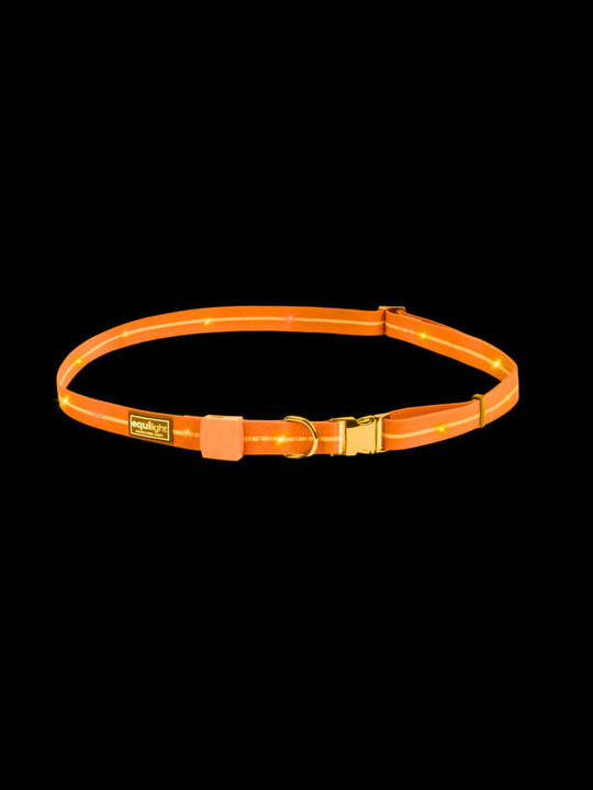 EquiLight LED Neckstrap in hi-visibility orange with bright multi coloured rechargeable lights for horse and rider road safety.