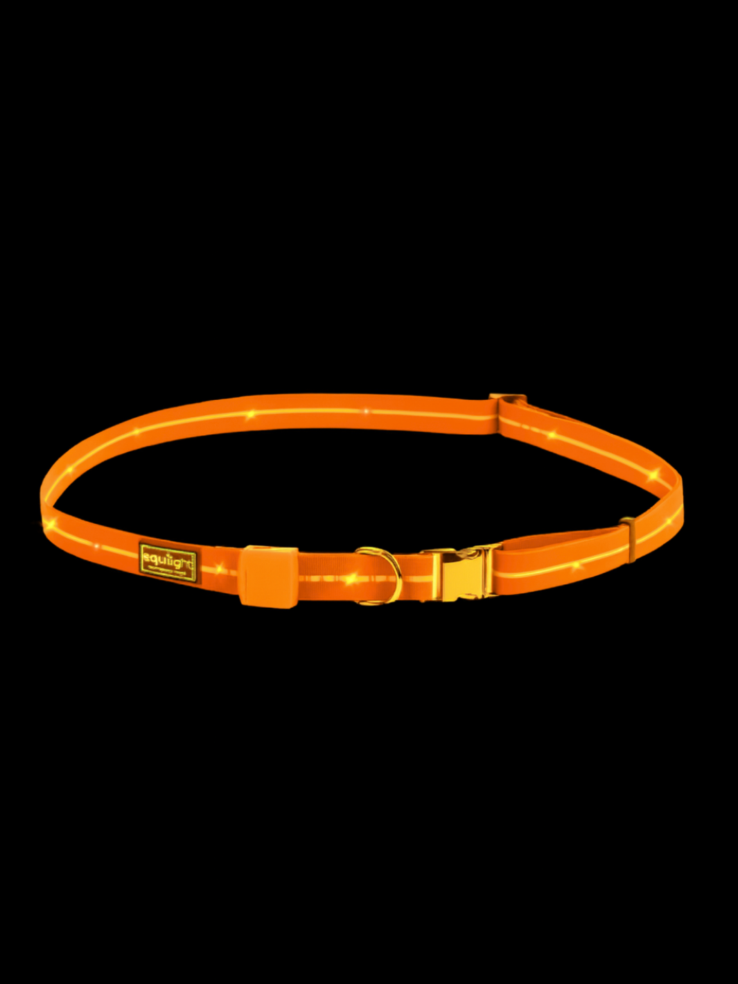 EquiLight LED Neckstrap in high-visibility orange with bright multi coloured rechargeable lights for horse and rider road safety.