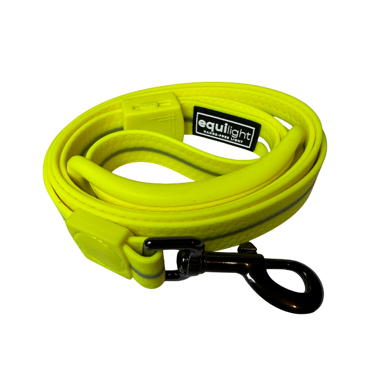 EquiLight LED dog lead with integrated rechargeable LED lighting, designed to improve visibility and safety for dogs and owners during low-light walks
