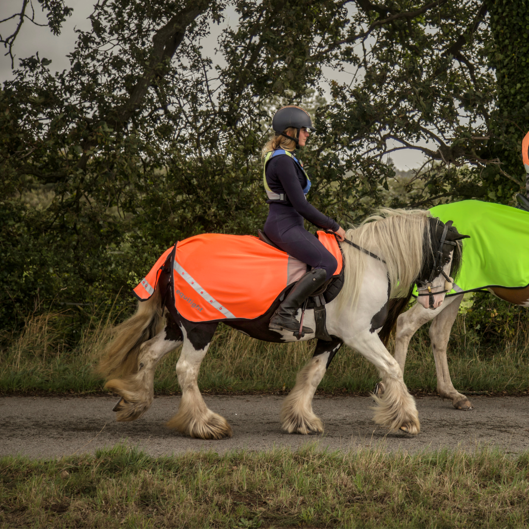 Equi-Light Ride On LED Hi Vis Exercise Sheet