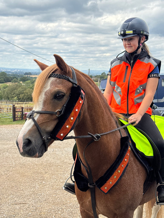 EquiLight Faux Fur LED Sleeves, Breastplate Pro For Horse & Pony, 30cm, 90cm, Pink Hi-Vis, Orange Hi-Vis, LED Breastplate. 