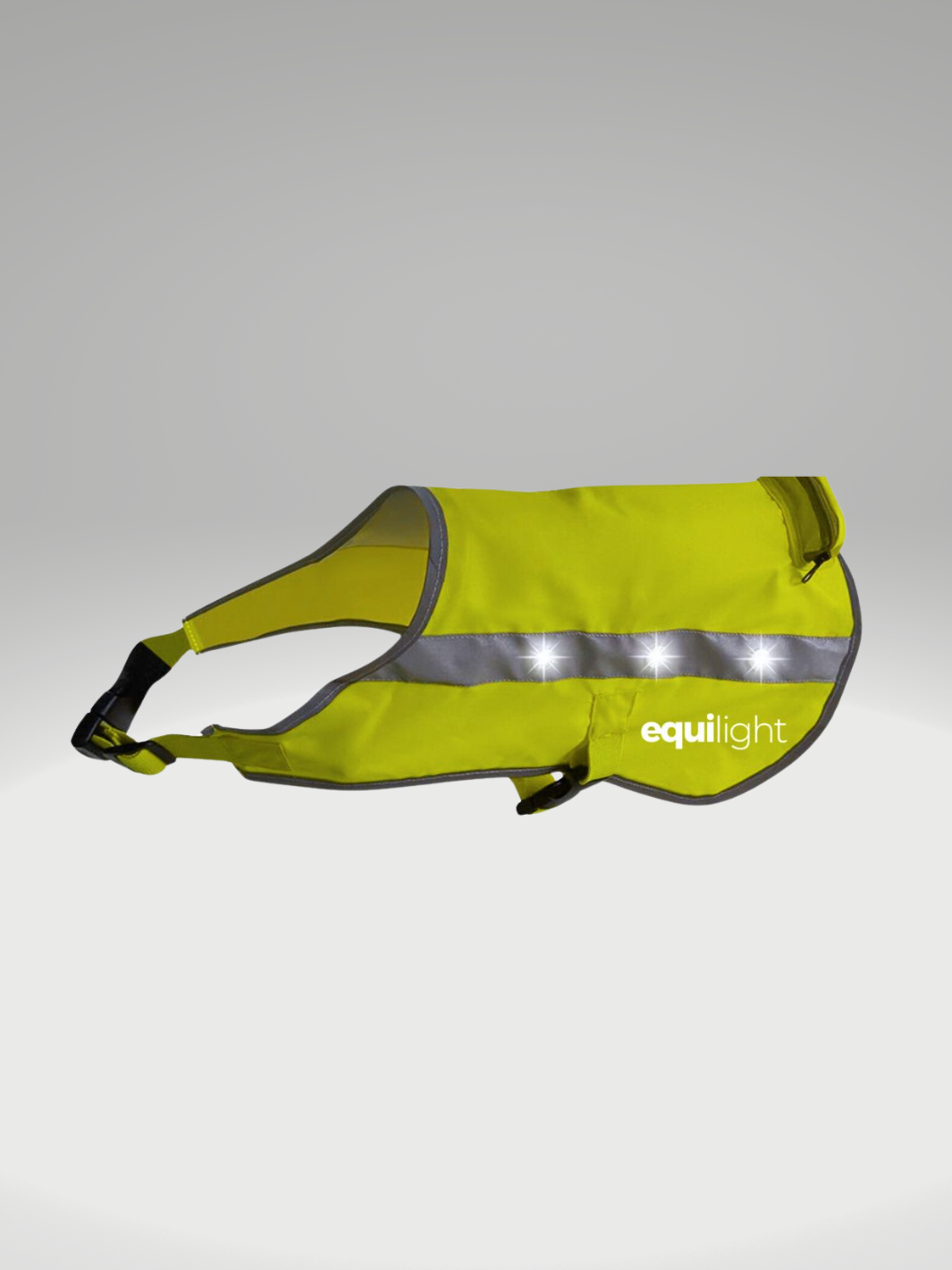 Dog coat with led 2025 lights