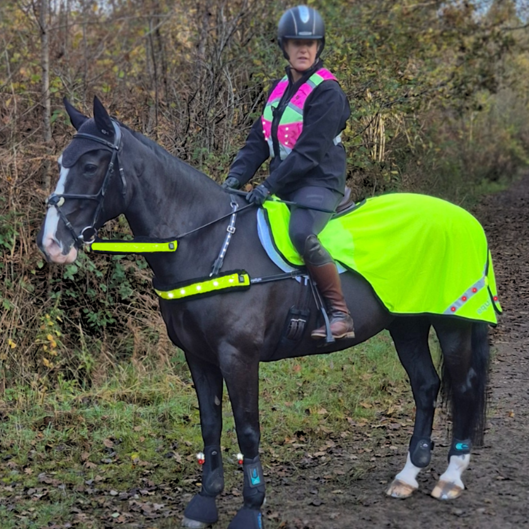 EQUILIGHT LED Exercise Rug