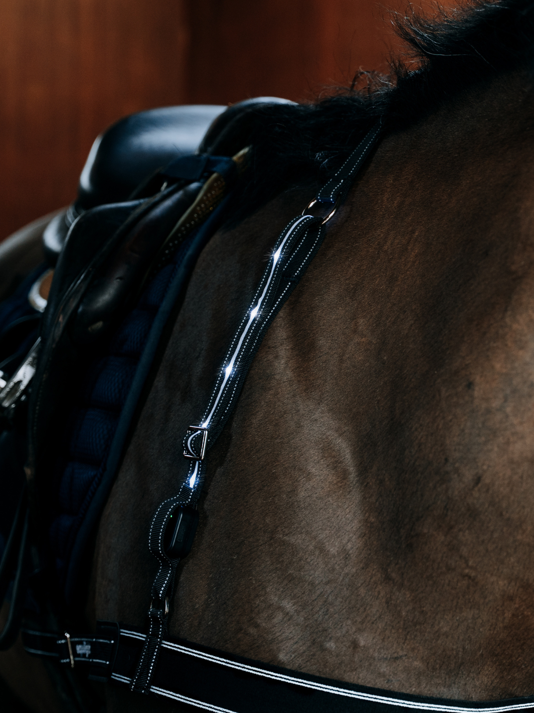 LED Hi-Vis Breastplate Pro for horses – front view showing reflective webbing
Rechargeable LED horse breastplate glowing in low light
EquiLight Breastplate Pro attached over saddle for 360° visibility
LED safety breastplate for road riding and winter hacking
Close-up of LED unit on horse breastplate – rechargeable design