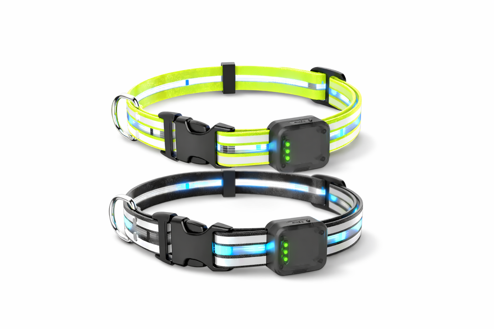 EquiLight Dog Collar
