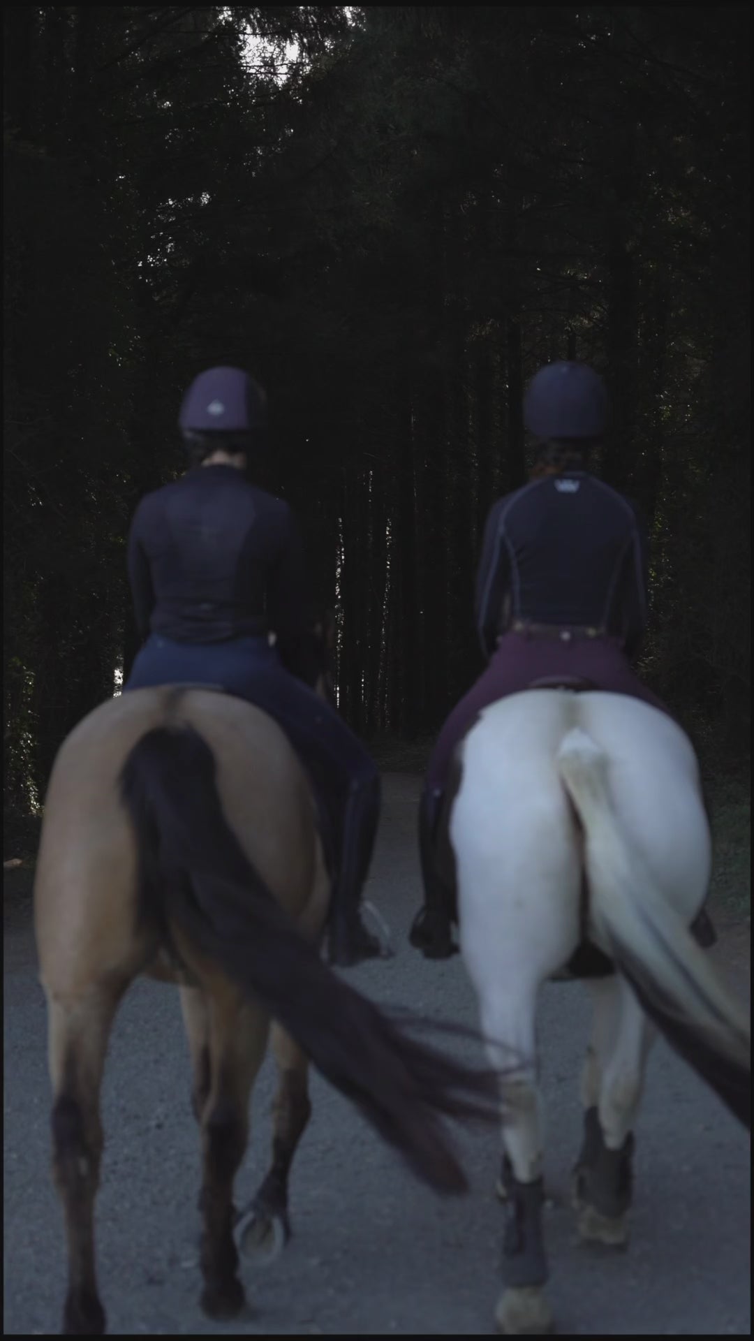 Award winning Hi-Vis. Add on Hi-Vis, Horse Hi-Vis, LED Lights, Highway Code LED Hi-Vis 