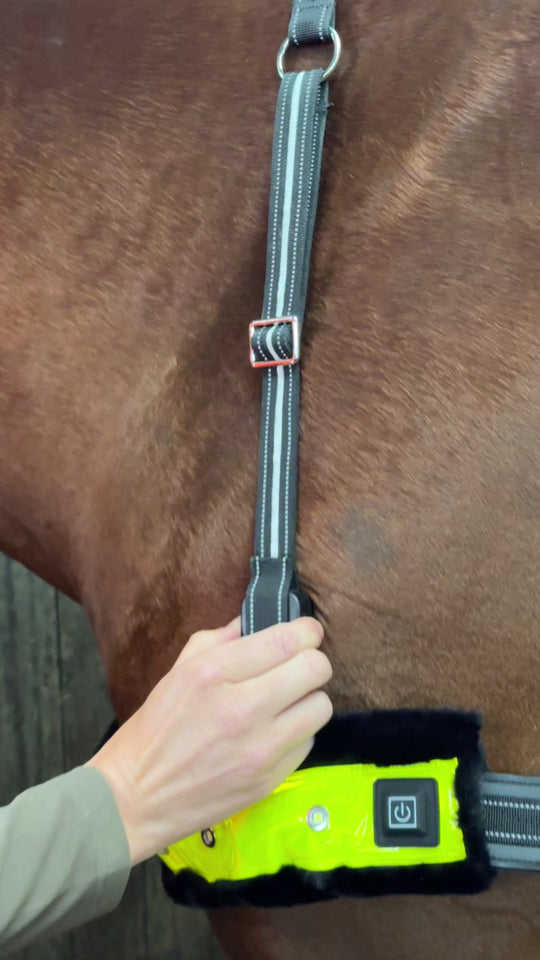 LED Breastplate Pro, settings, rechargeable LED light, Highway Code Lights, equestrian, horse tack 