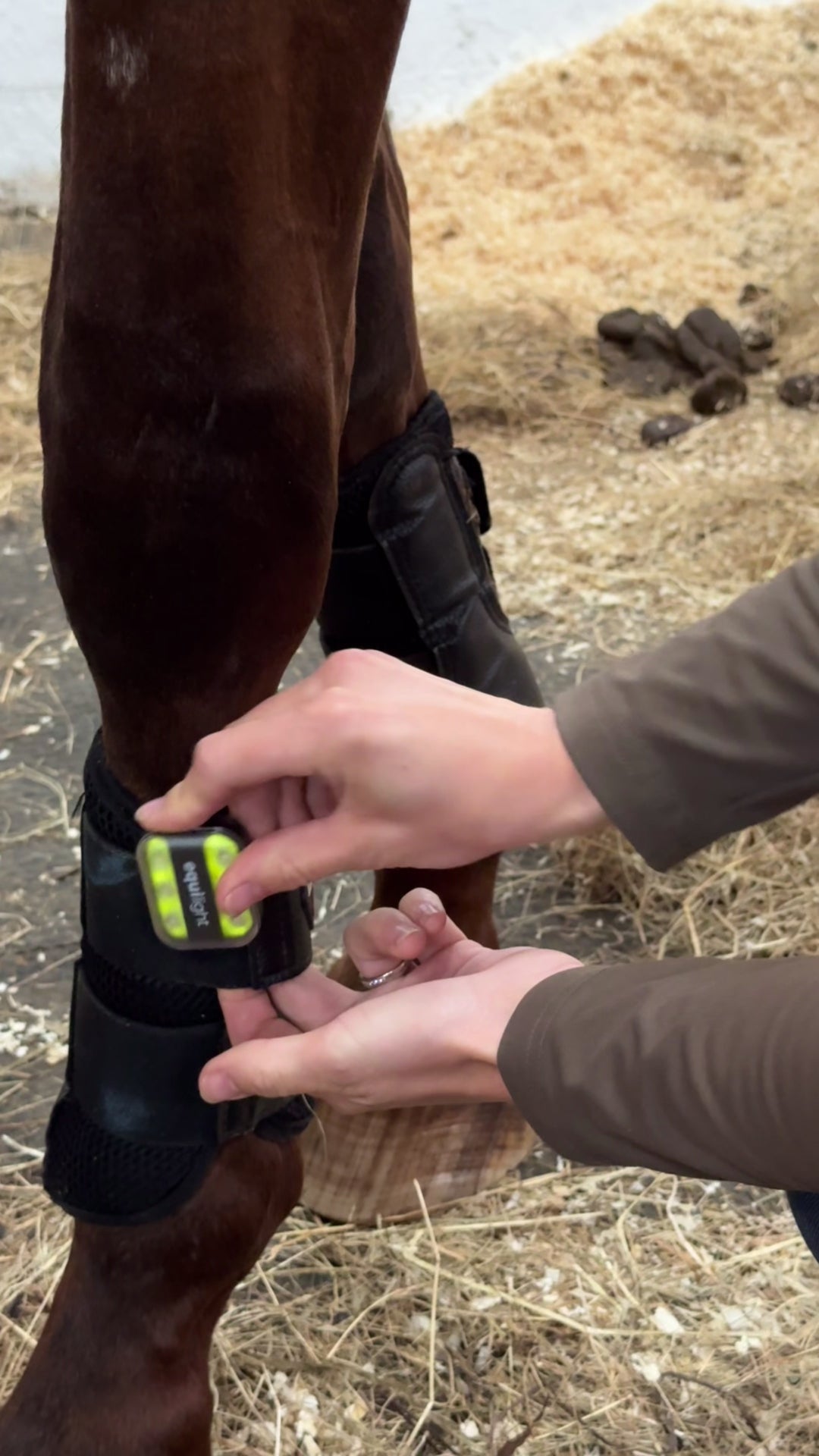 Highway Code LED Clip On Light for Equestrians, Dog Walkers, Horses, Red & White LED Light, LED Horse Boots 