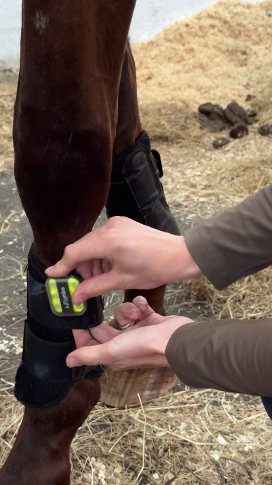 Highway Code LED Clip On Light for Equestrians, Dog Walkers, Horses, Red & White LED Light, LED Horse Boots 